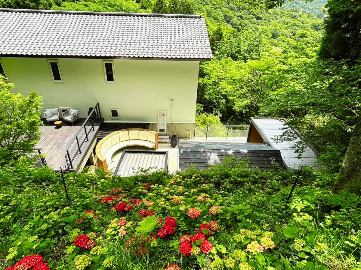 紫陽花の蔵樹
