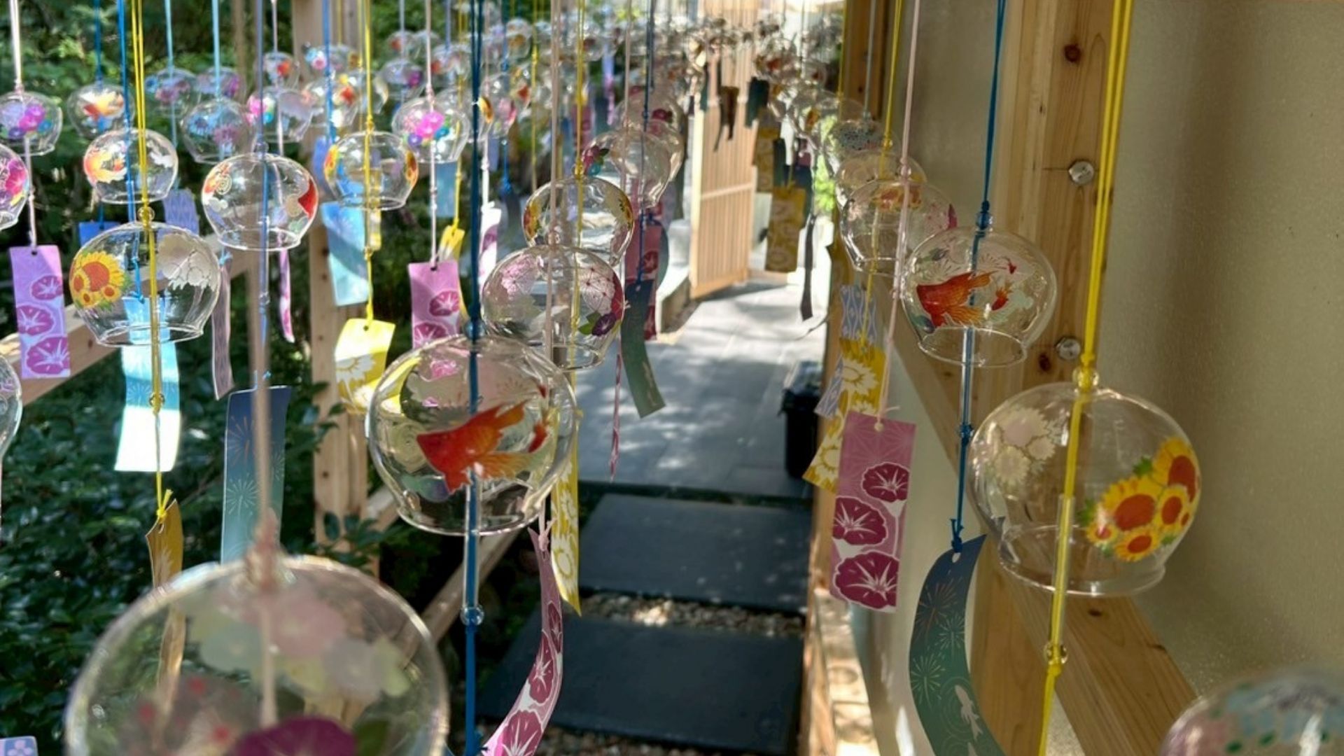 Herb Gallery 5