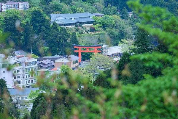 運気上昇